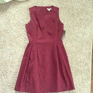 NWT New York & Company Eva Mendes Dress